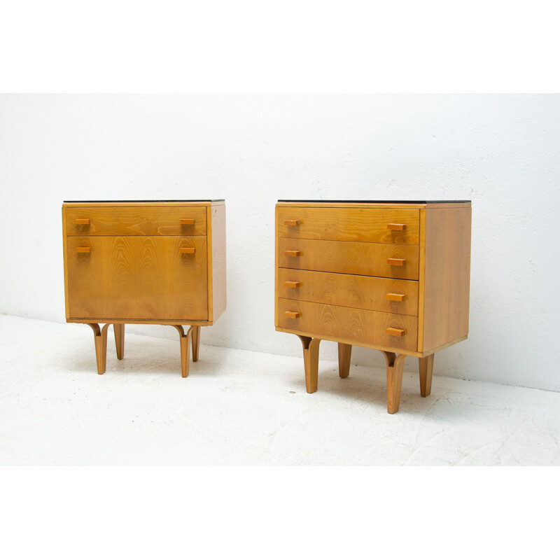 Pair of mid century night stands by Frantisek Mezulanik for Nový Domov, 1970s