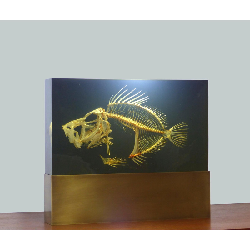 Vintage lamp with fish skeleton inclusion on a solid brass base, 1970