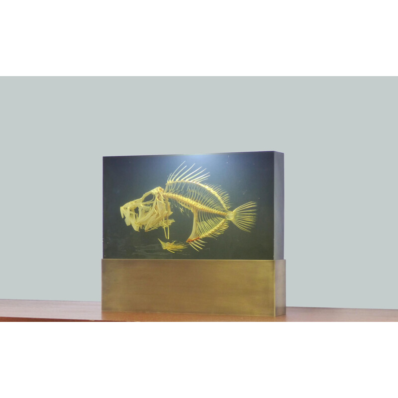 Lampe vintage avec inclusion squelette de poisson sur une base en laiton massif, 1970