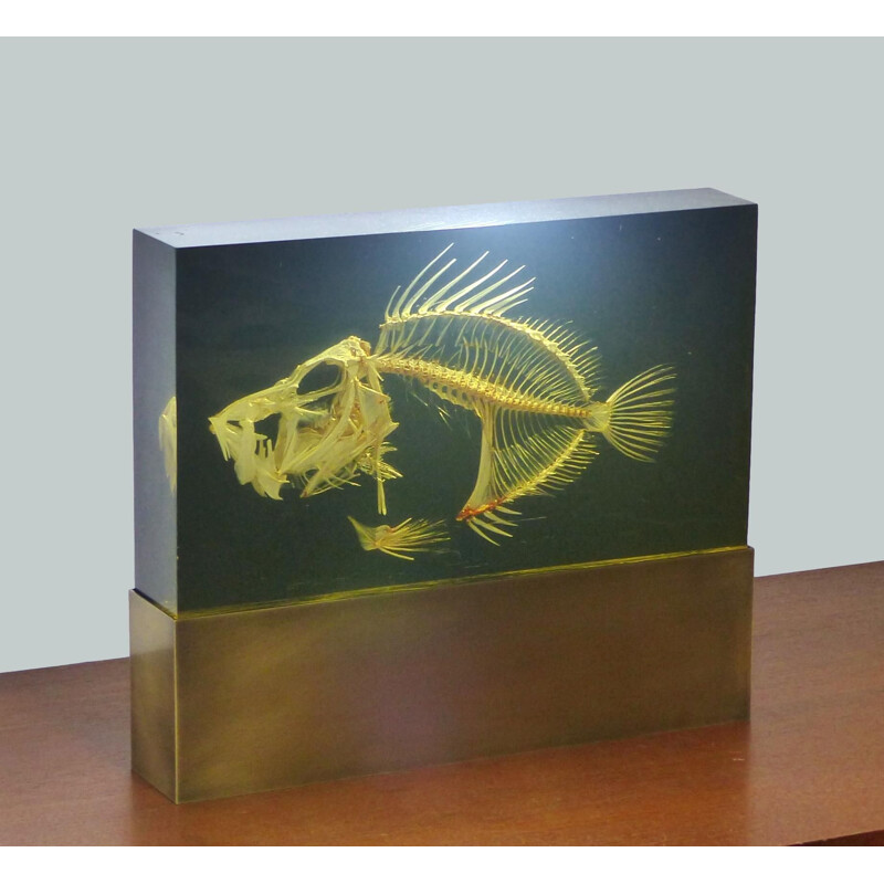 Vintage lamp with fish skeleton inclusion on a solid brass base, 1970