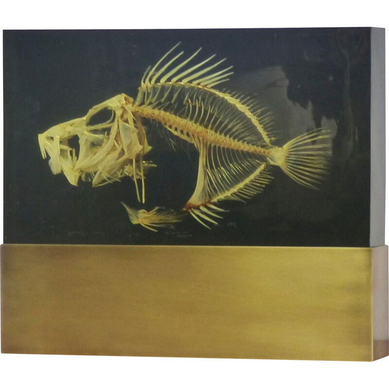 Lámpara vintage con inclusión del esqueleto de un pez sobre una base de latón macizo, 1970