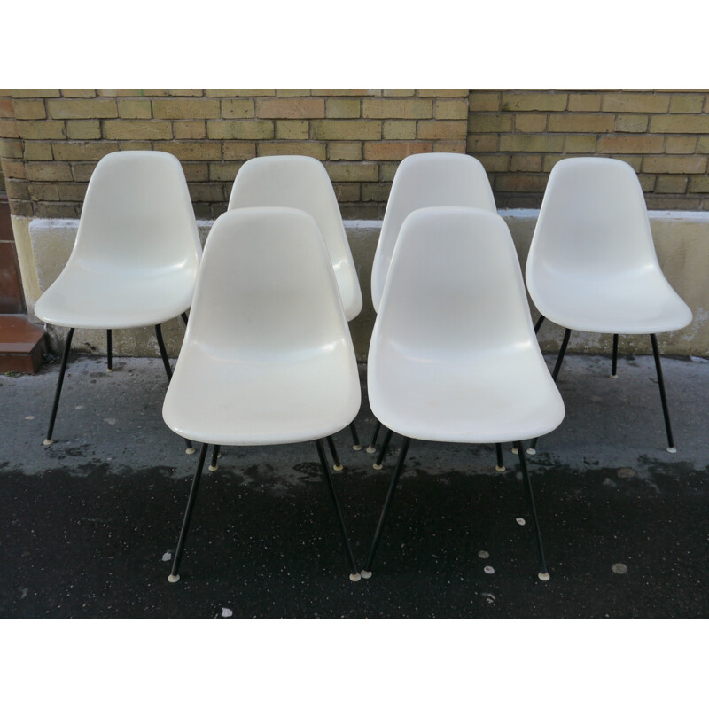 Suite of 6 "DCM" chairs, by Charles EAMES - 1970s