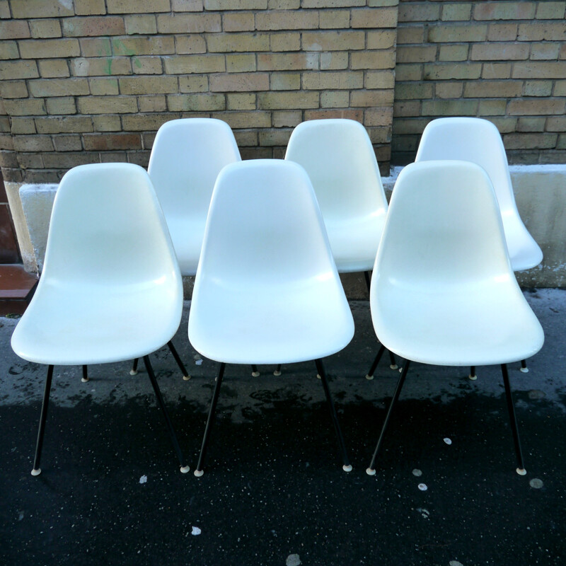 Suite of 6 "DCM" chairs, by Charles EAMES - 1970s