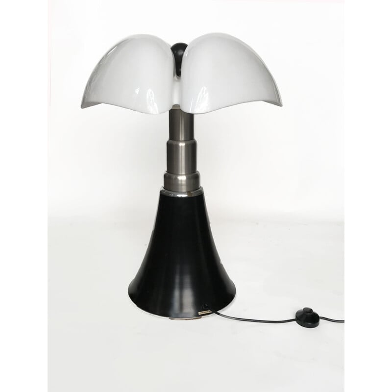Vintage Pipistrello adjustable lamp by Gae Aulenti for Martinelli Luce, 1965