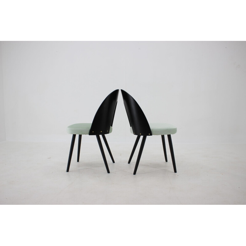 Conjunto de 4 cadeiras vintage por Antonin Suman, Checoslováquia 1960