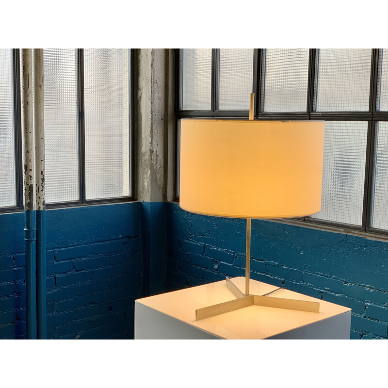 Vintage lamp van Tito Agnoli voor Oluce, 1960