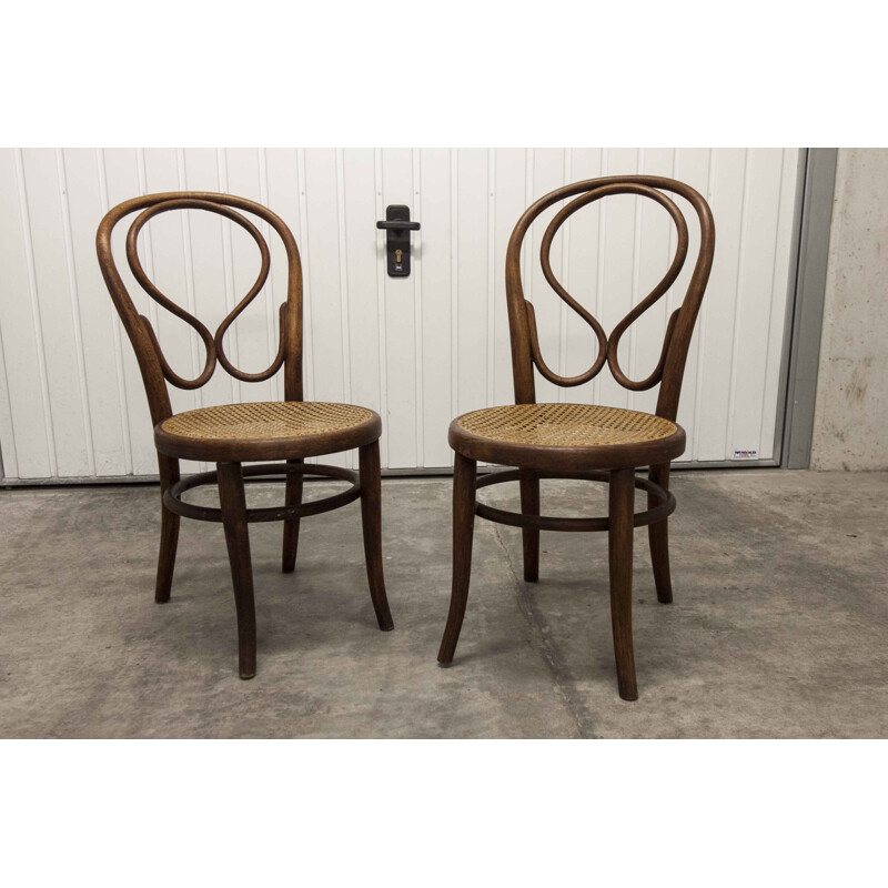 Pair of vintage chairs by Thonet