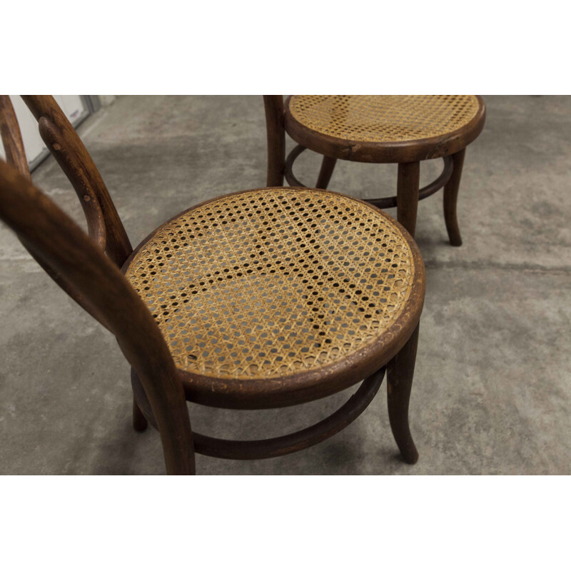 Paire de chaises vintage de Thonet