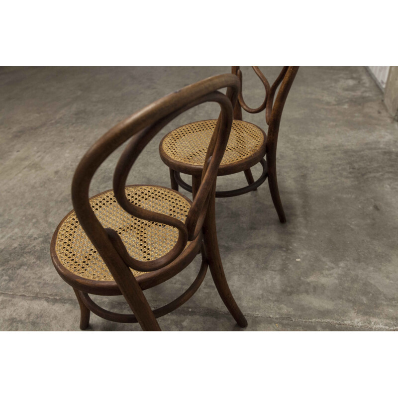 Paire de chaises vintage de Thonet