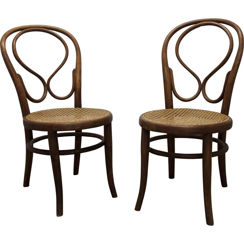 Pair of vintage chairs by Thonet