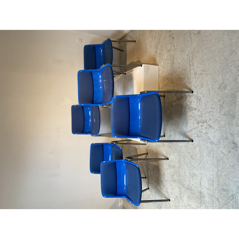 Set of 6 blue chairs by Borsani