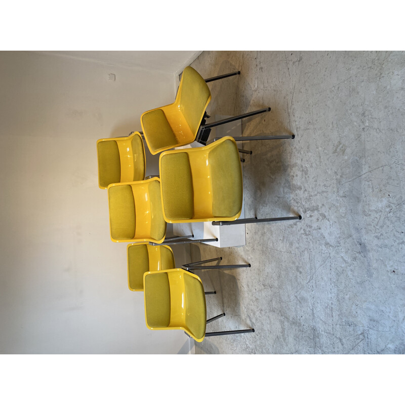 Set of 6 yellow chairs by Borsani