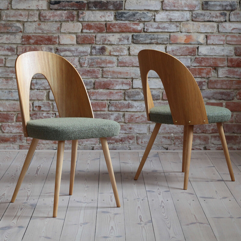 Set of 10 mid century dining chairs by Antonin Šuman, 1960s