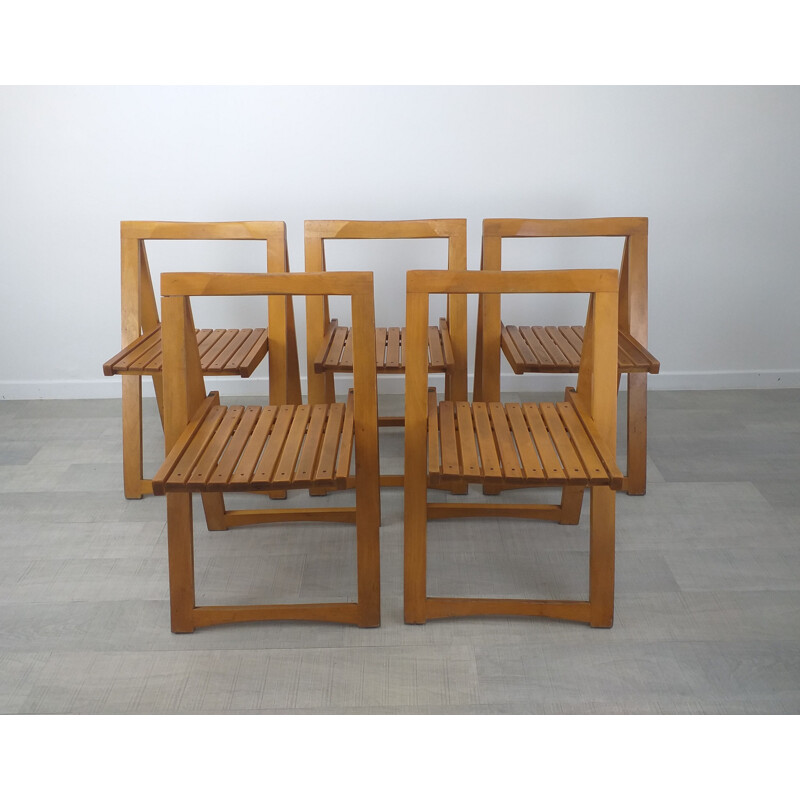 Lot de 5 chaises pliantes vintage par Aldo Jacober, 1970