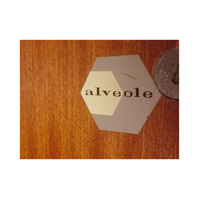 Alveole secretary desk in exotoc wood - 1950s
