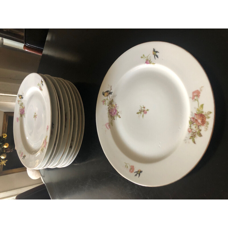 Set of 10 vintage porcelain bird plates, 1950