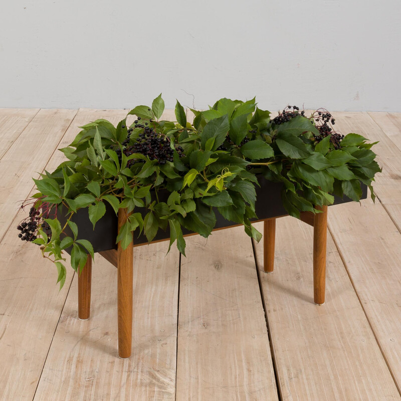 Danish vintage rosewood planter with black metal container, 1960s