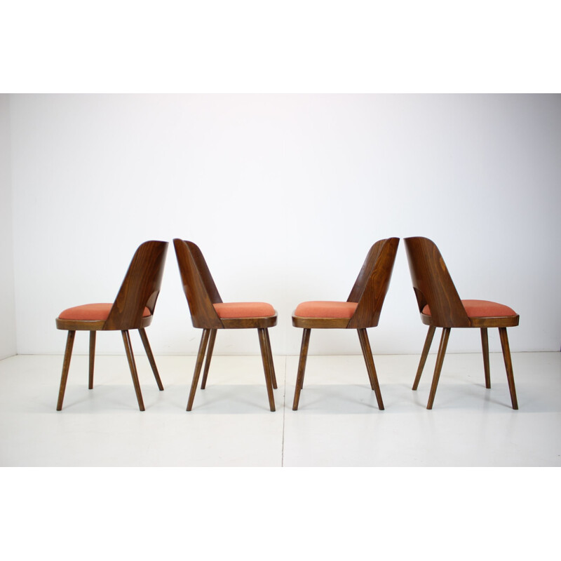 Conjunto de 4 cadeiras de madeira vintage de Oswald Haerdtl, Checoslováquia 1960