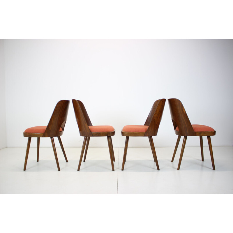 Ensemble de 4 chaises vintage en bois par Oswald Haerdtl, Tchécoslovaquie 1960