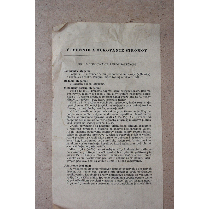 Cartel escolar vintage Spojkovanie (trasplante de árboles), Checoslovaquia 1959