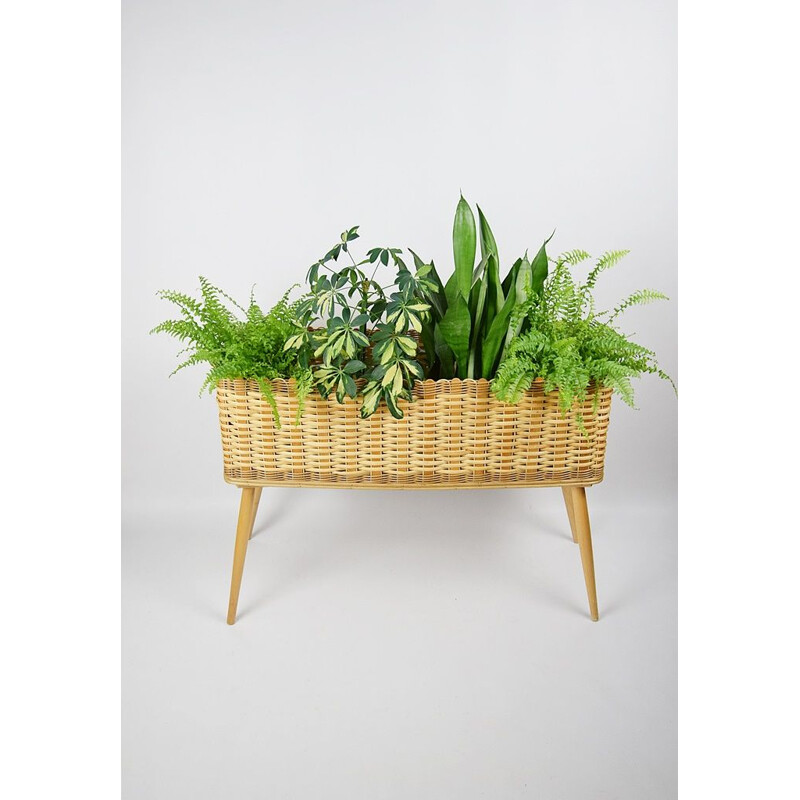 Vintage rattan-wicker flowerbed, 1970s