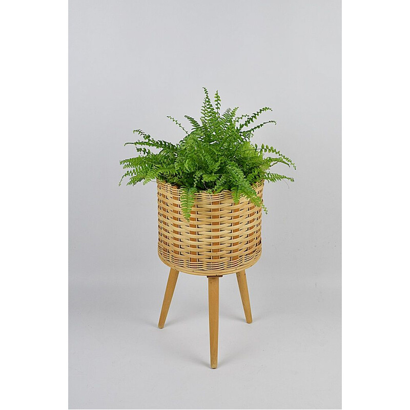 Vintage rattan-wicker flowerbed, 1970s