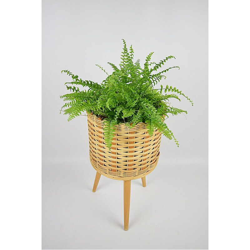 Vintage-Blumenbeet aus Rattan-Korb, 1970