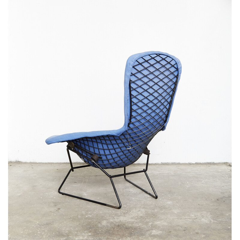 Vintage bird armchair by Harry Bertoia for Knoll International, 1970