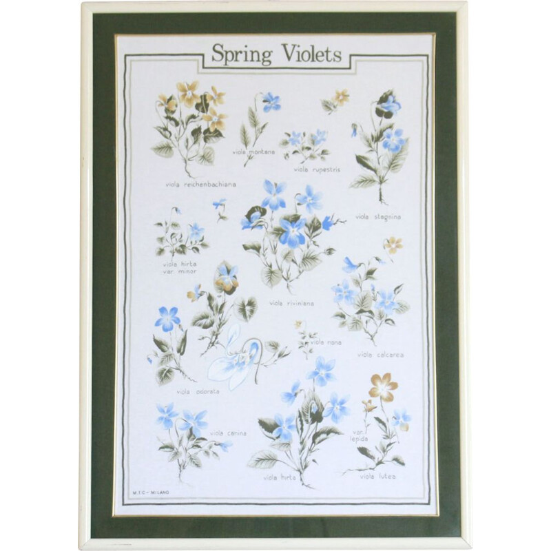 Vintage painting of violets with a wooden frame, 1960