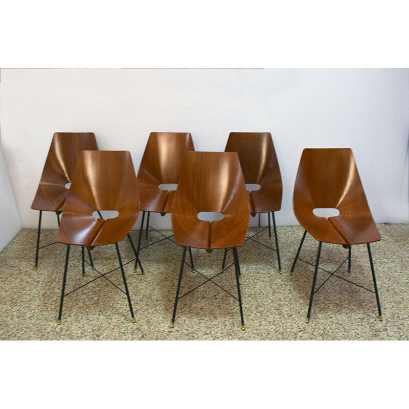 Set of 6 vintage rosewood chairs by Società Italiana Compensati Curvati, 1950s