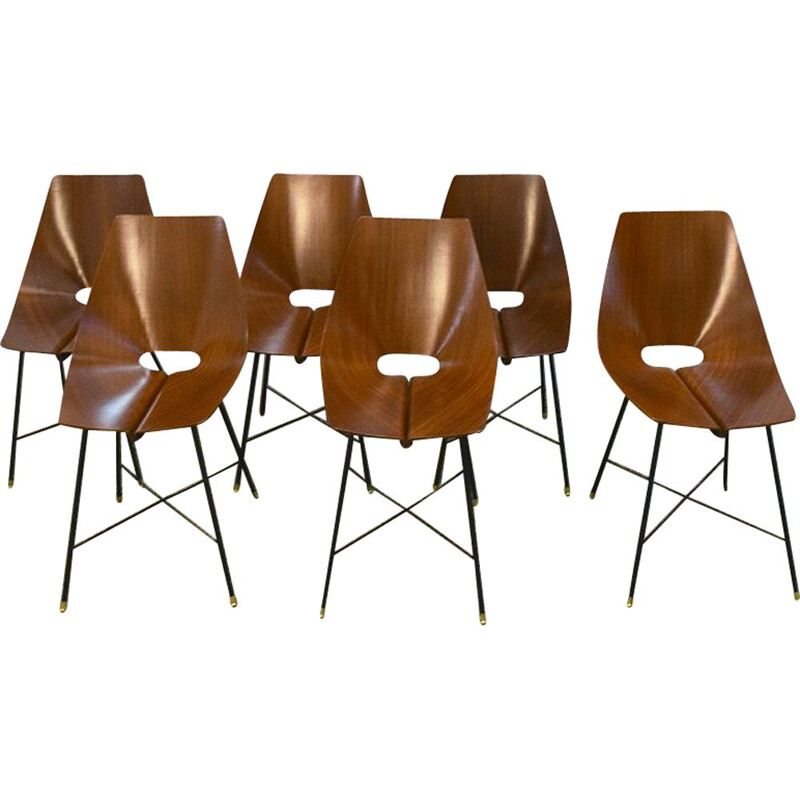 Set of 6 vintage rosewood chairs by Società Italiana Compensati Curvati, 1950s