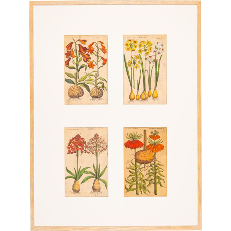 Pintura Vintage de desenhos botânicos em chapa de cobre colorida