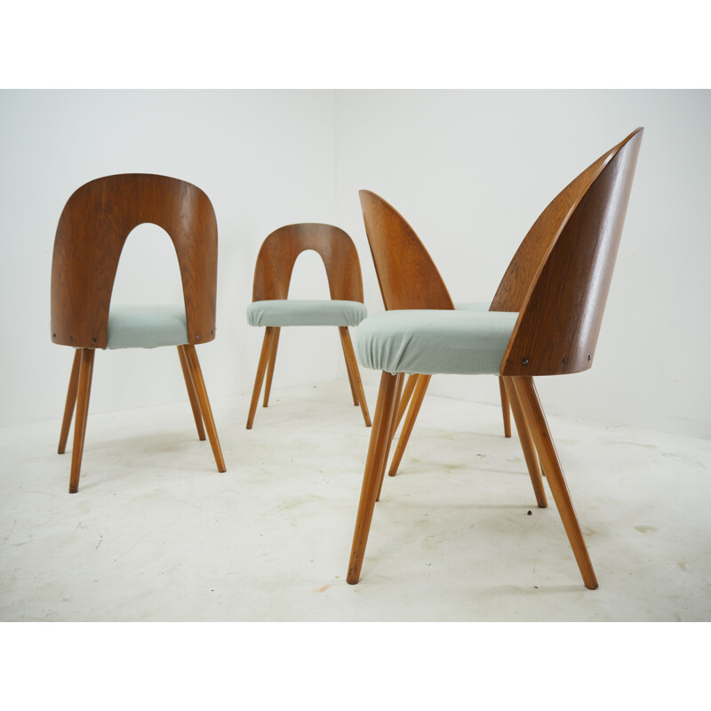 Juego de 4 sillas vintage de madera de Antonin Suman, 1960