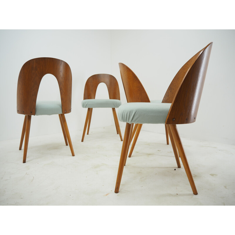 Set of 4 vintage wooden chairs by Antonin Suman, 1960