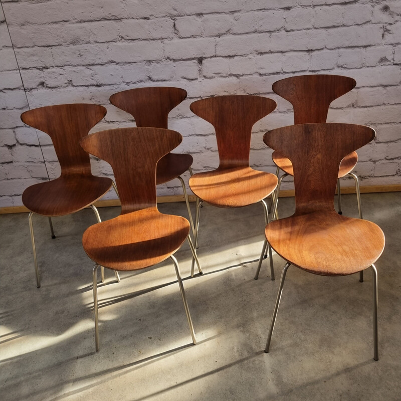 Conjunto de 6 cadeiras Mosquito 3105 vintage de Arne Jacobsen para Fritz Hansen, Dinamarca 1950