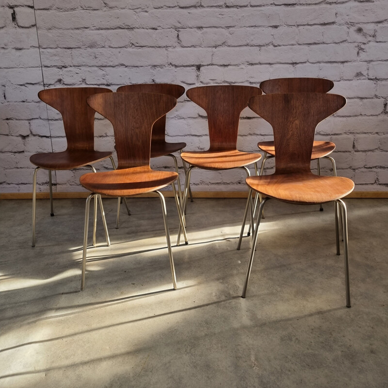 Set di 6 sedie vintage Mosquito 3105 di Arne Jacobsen per Fritz Hansen, Danimarca 1950