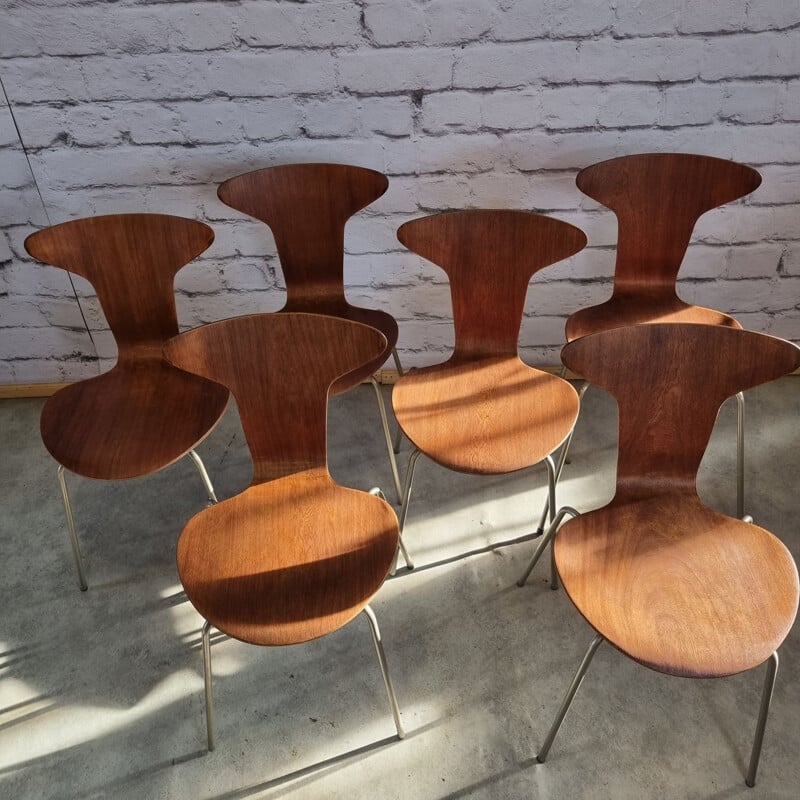 Conjunto de 6 cadeiras Mosquito 3105 vintage de Arne Jacobsen para Fritz Hansen, Dinamarca 1950