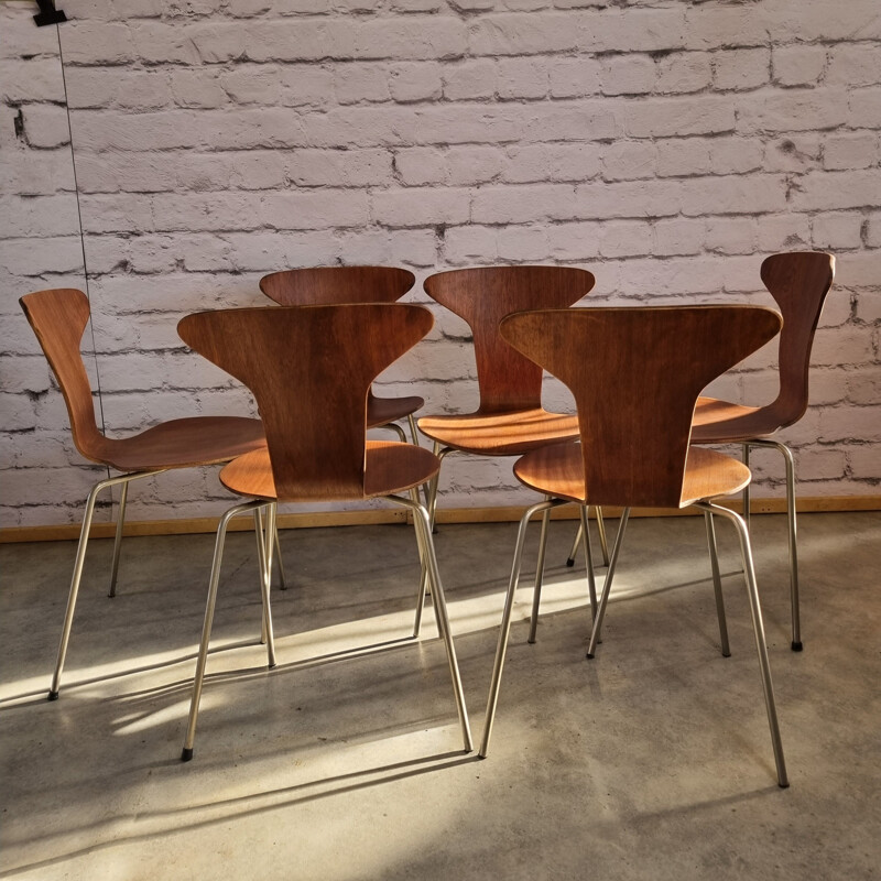 Conjunto de 6 cadeiras Mosquito 3105 vintage de Arne Jacobsen para Fritz Hansen, Dinamarca 1950