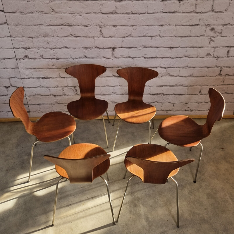 Conjunto de 6 cadeiras Mosquito 3105 vintage de Arne Jacobsen para Fritz Hansen, Dinamarca 1950