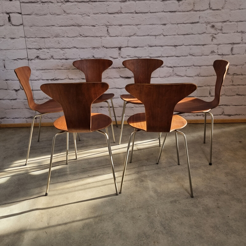 Conjunto de 6 cadeiras Mosquito 3105 vintage de Arne Jacobsen para Fritz Hansen, Dinamarca 1950