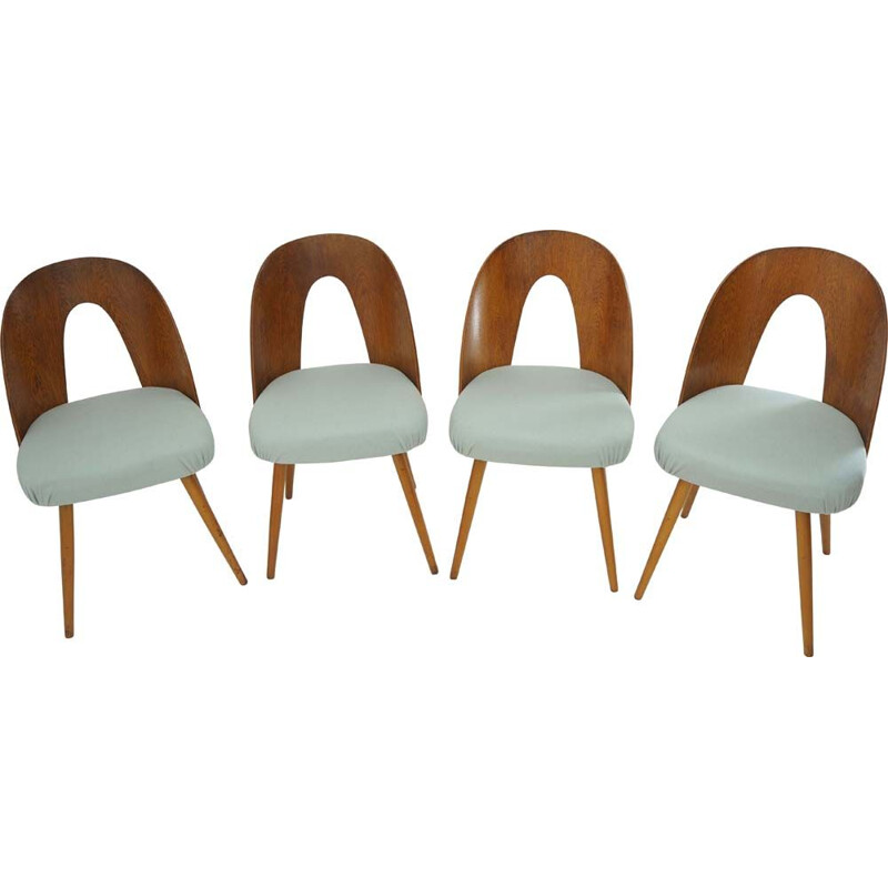 Conjunto de 4 cadeiras de madeira vintage por Antonin Suman, 1960