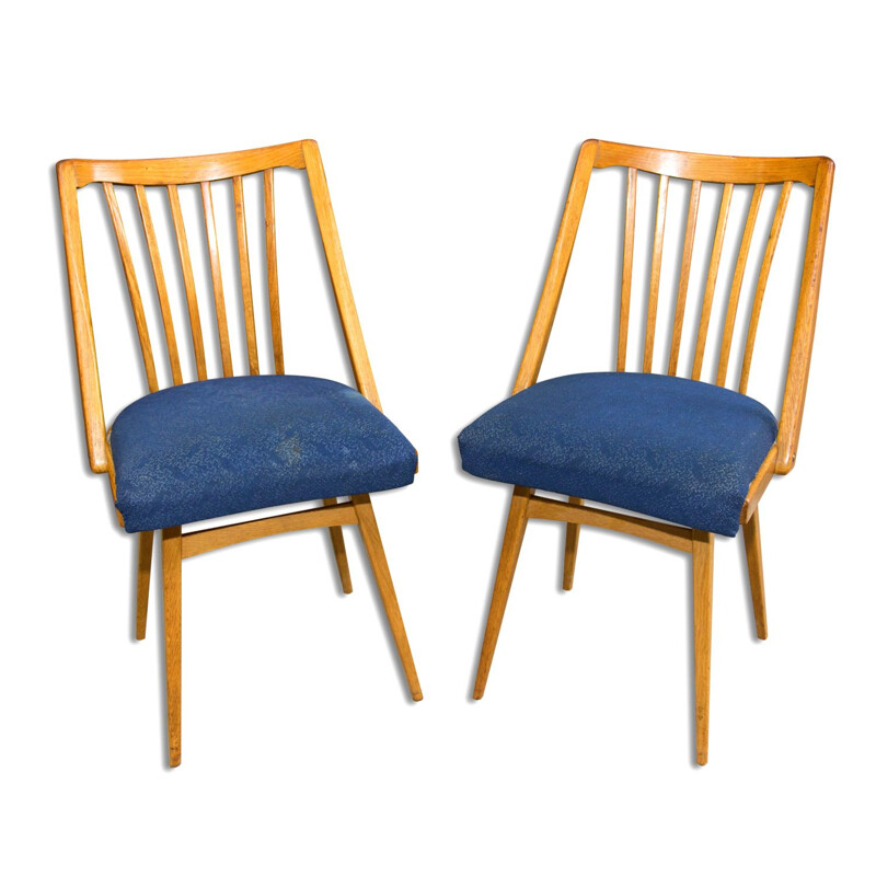 Paar vintage gebogen beukenhouten stoelen van Antonín Šuman, Tsjecho-Slowakije 1960