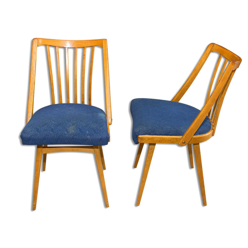 Pair of vintage bent beechwood chairs by Antonín Šuman, Czechoslovakia 1960