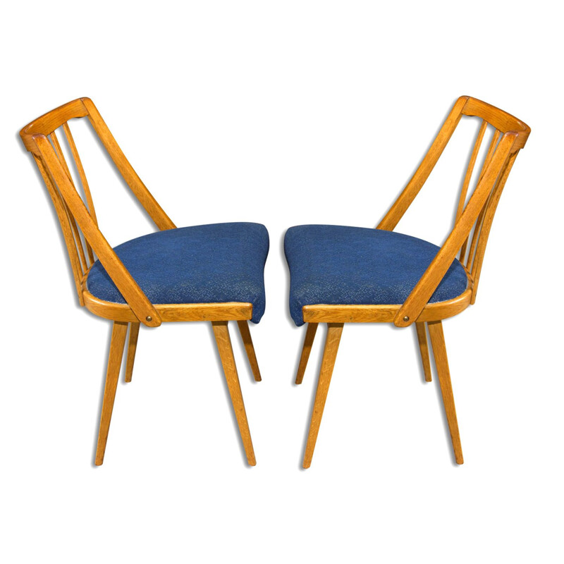 Paar vintage gebogen beukenhouten stoelen van Antonín Šuman, Tsjecho-Slowakije 1960