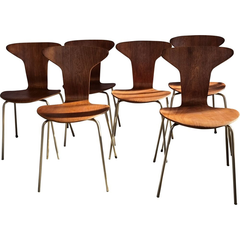 Ensemble de 6 chaises Mosquito 3105 vintage par Arne Jacobsen pour Fritz Hansen, Danemark 1950