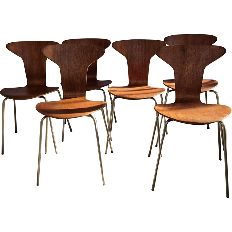 Conjunto de 6 cadeiras Mosquito 3105 vintage de Arne Jacobsen para Fritz Hansen, Dinamarca 1950