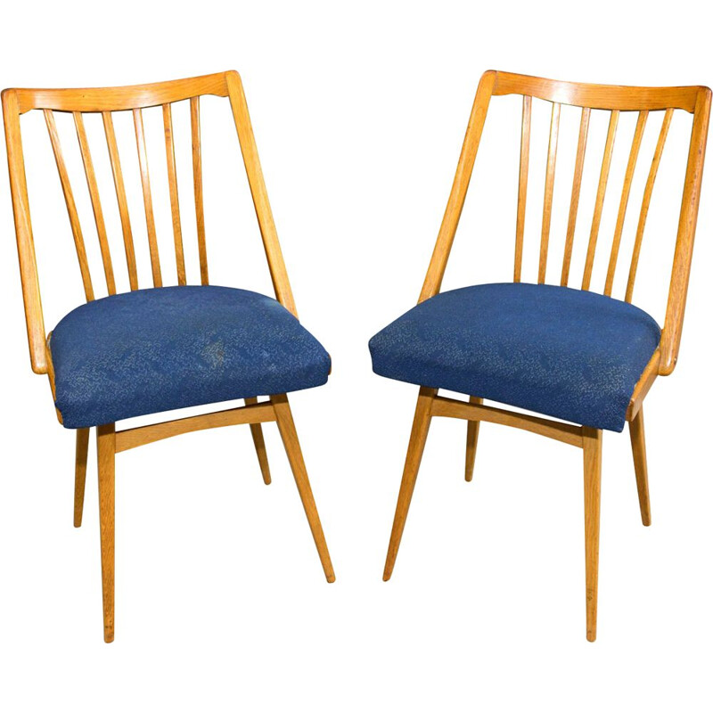 Par de cadeiras de madeira de faia dobrada de Antonín, Checoslováquia 1960