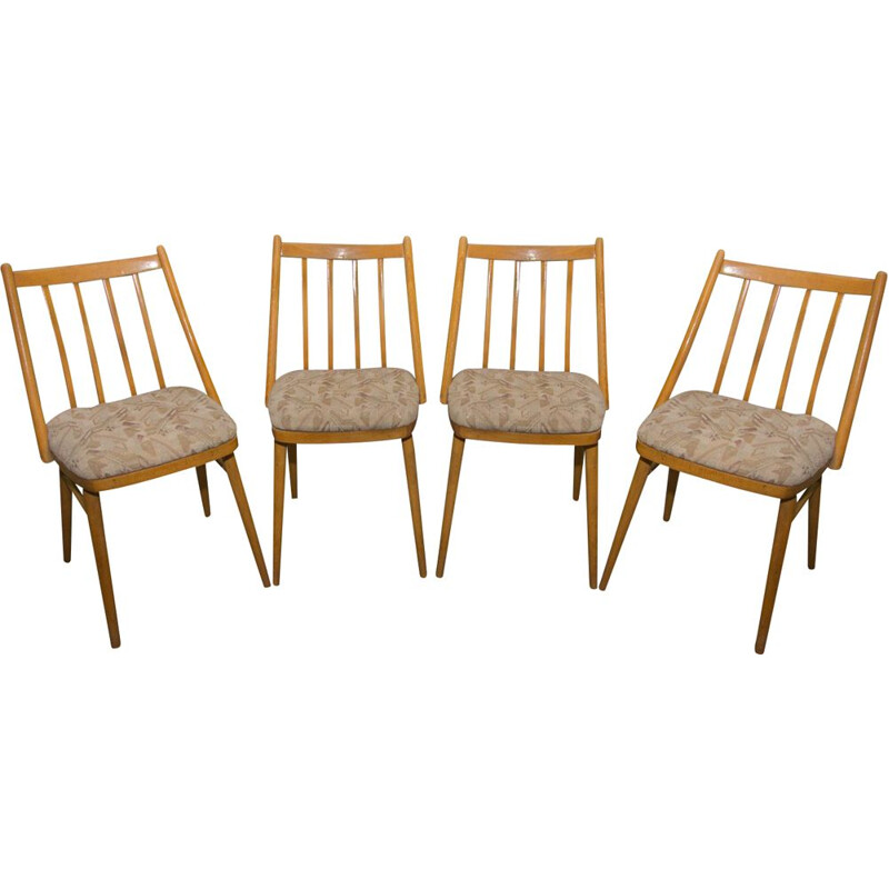 Satz von 4 Vintage-Stühlen aus Buchenholz von Antonín Šuman für Mier, 1960