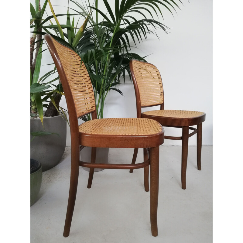 Set of 5 vintage chairs by by Josef Hoffman for Thonet