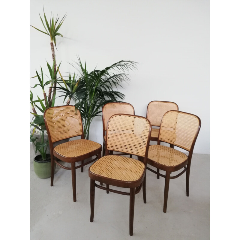 Set of 5 vintage chairs by by Josef Hoffman for Thonet